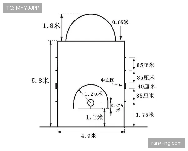详细解析罚球规则NBA与FIBA区别的具体规定